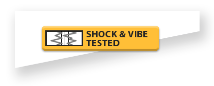 Shock and Vibe Testing